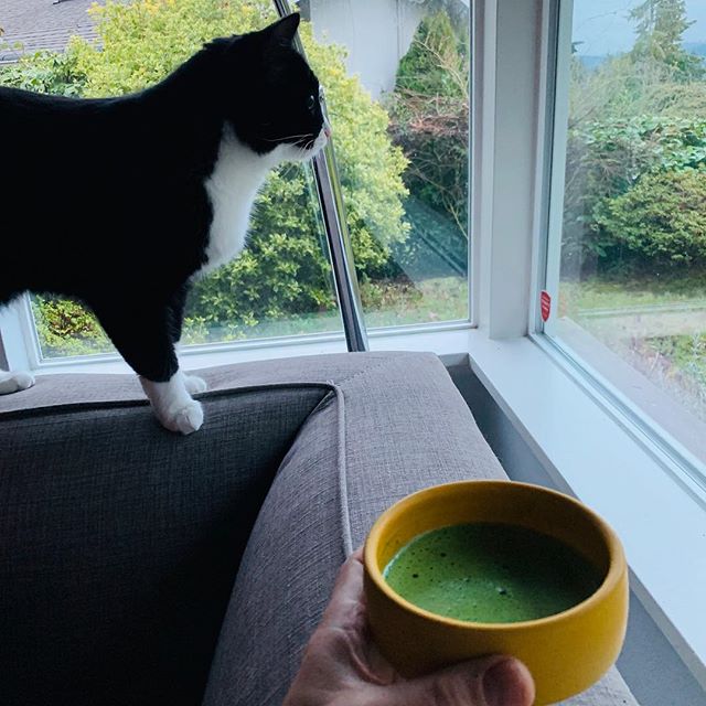 Before the snow in Seattle this week, Luna and I shared a morning meditation and matcha moment looking out the window, enjoying all the dynamic movement - rain sprinkling the grass, birds taking off and landing on the bird feeder, squirrels leaping o