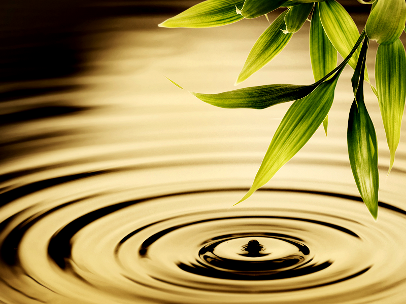 a9fc56da-f7dd-4d88-874b-7a08cf1443d5.png