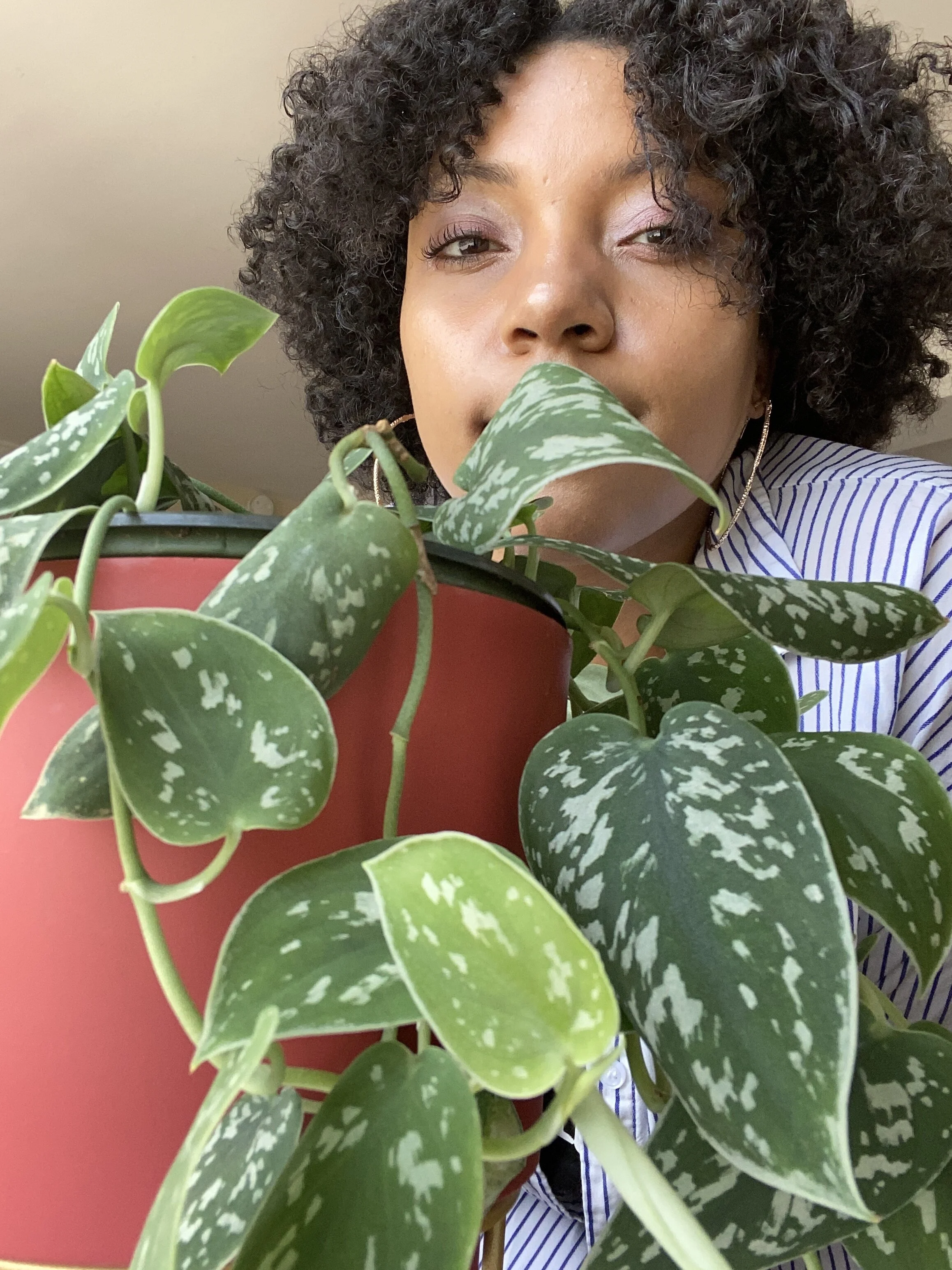 June Affirmations