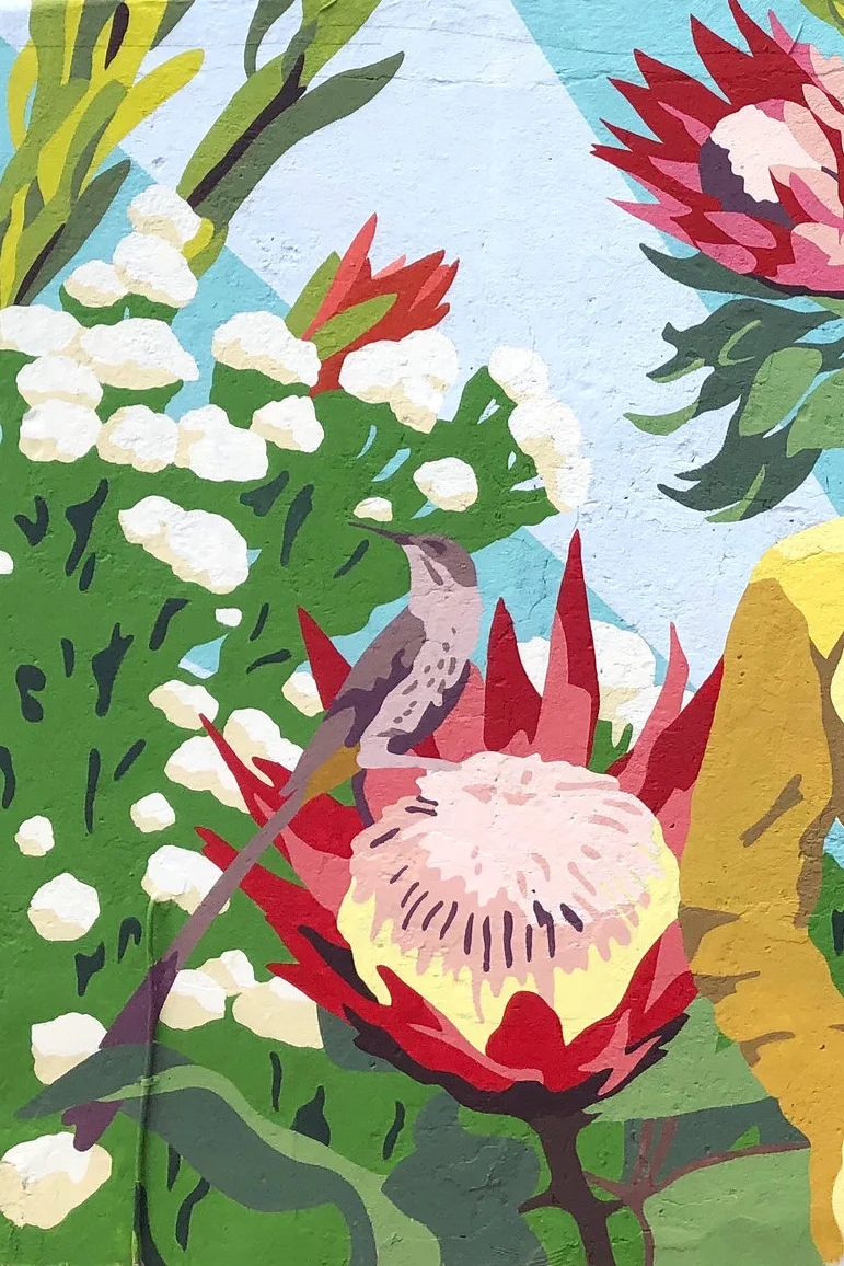 Cape+Town+Mural+Protea+Birds+Kipper+Millsap+2.jpg