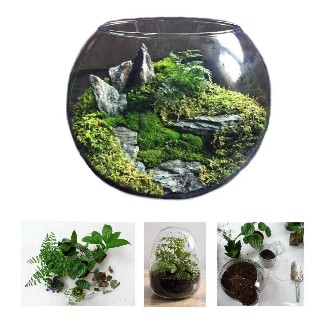 Assemble workshop | Leather & Ceramics | Terrarium building