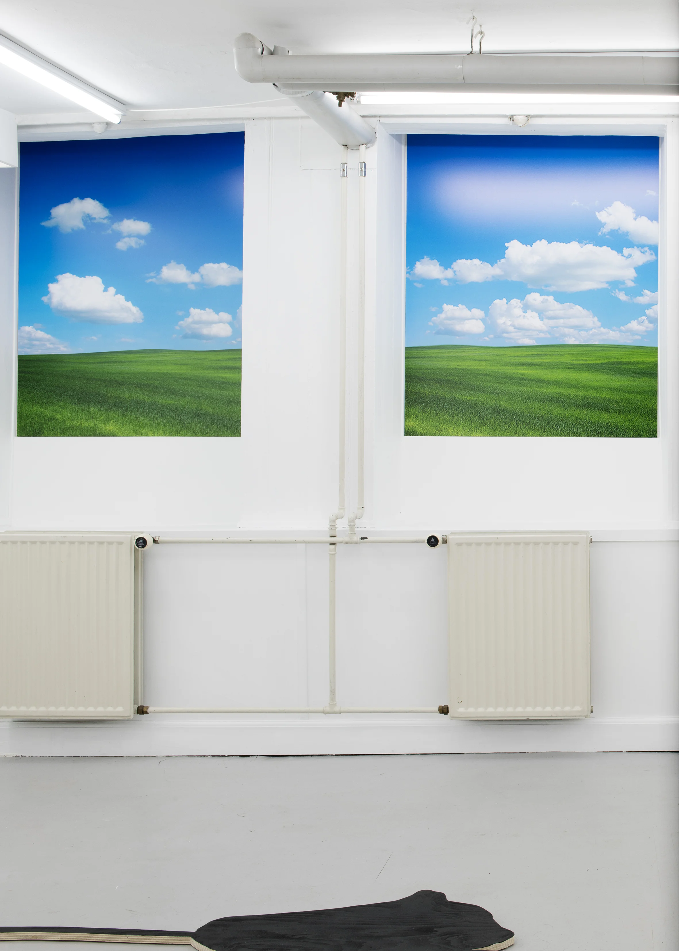 Bliss (2018), flouresent lights, inkjet prints, Moa Alskog