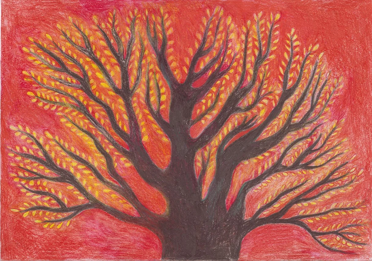Kronans skugga / The shadow of the crown (2019) färgpenna på papper 29,7x21cm, Moa Alskog