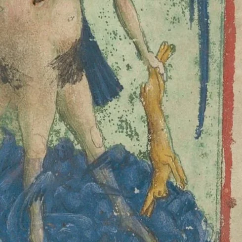 Luna, a dead rabbit. Research.