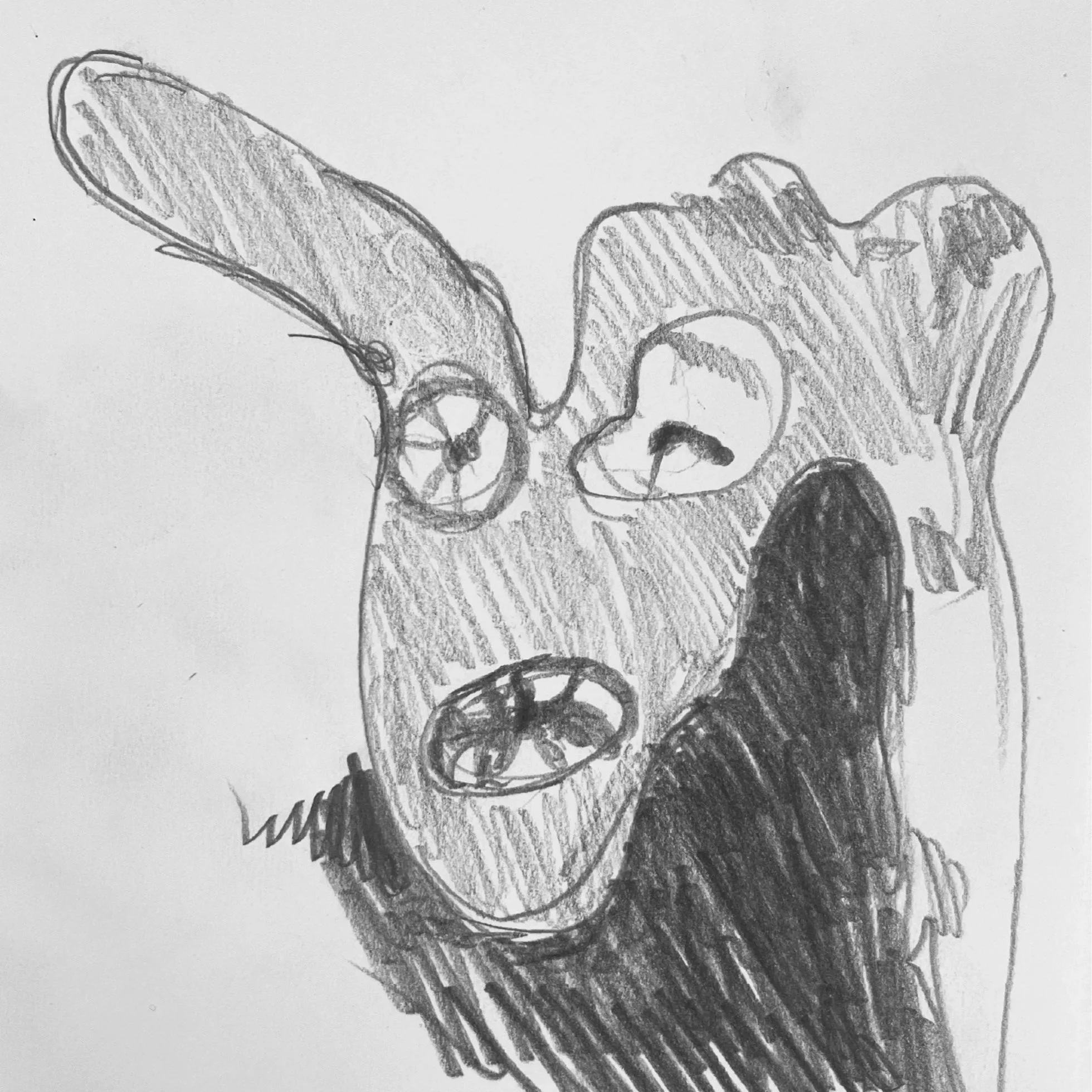 Kaninhålet.