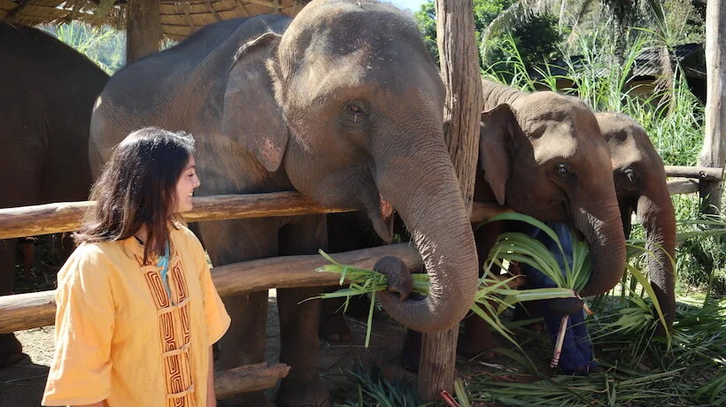 Revisiting Thailand Solo: Phuket, Chiang Rai, Pai, and Chiang Mai