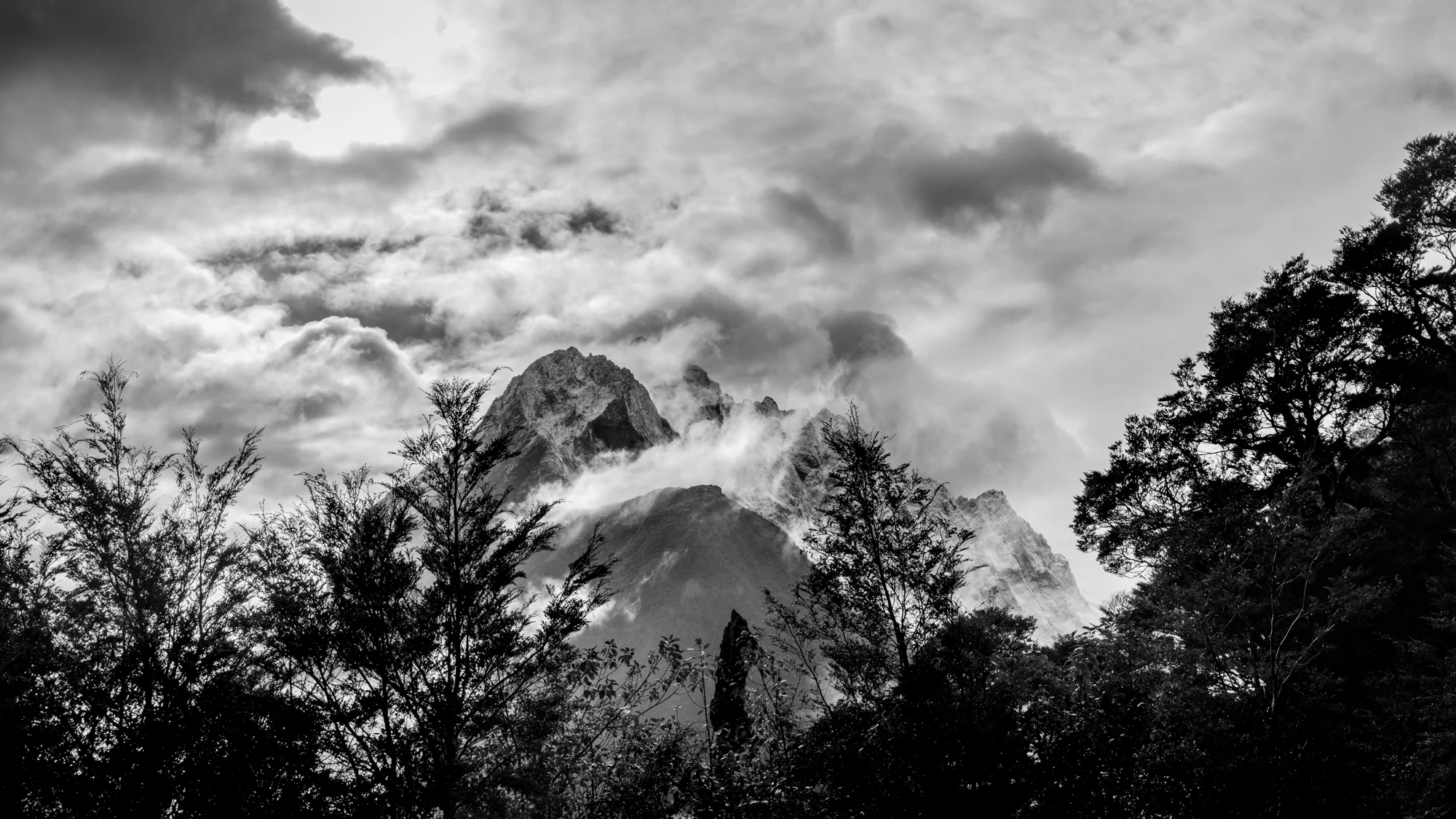 New Zealand, 2017
