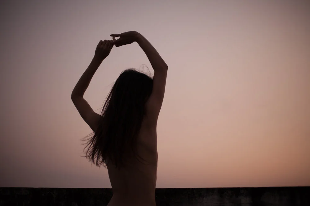wild-heart-cherie-birkner.jpg