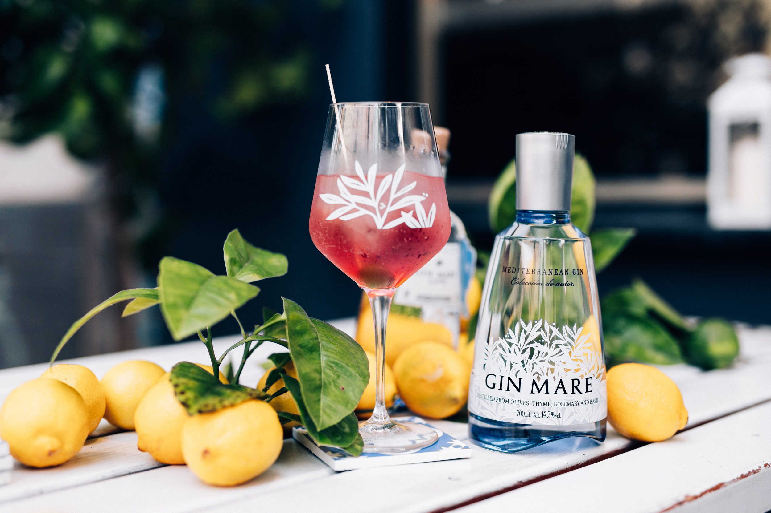 20231010-GinMare-by-CherieBirkner-48.jpg