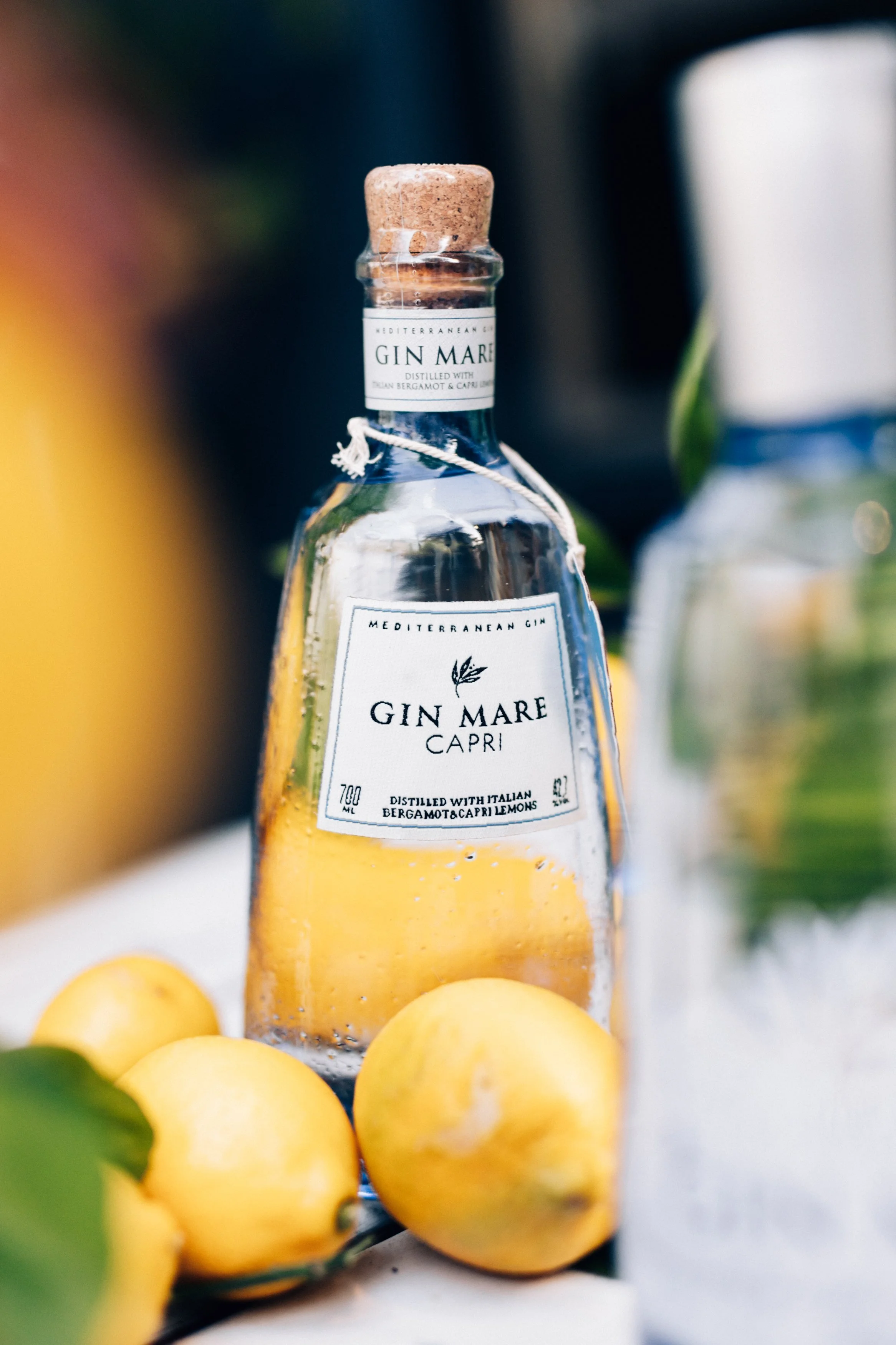 20231010-GinMare-by-CherieBirkner-49.jpg