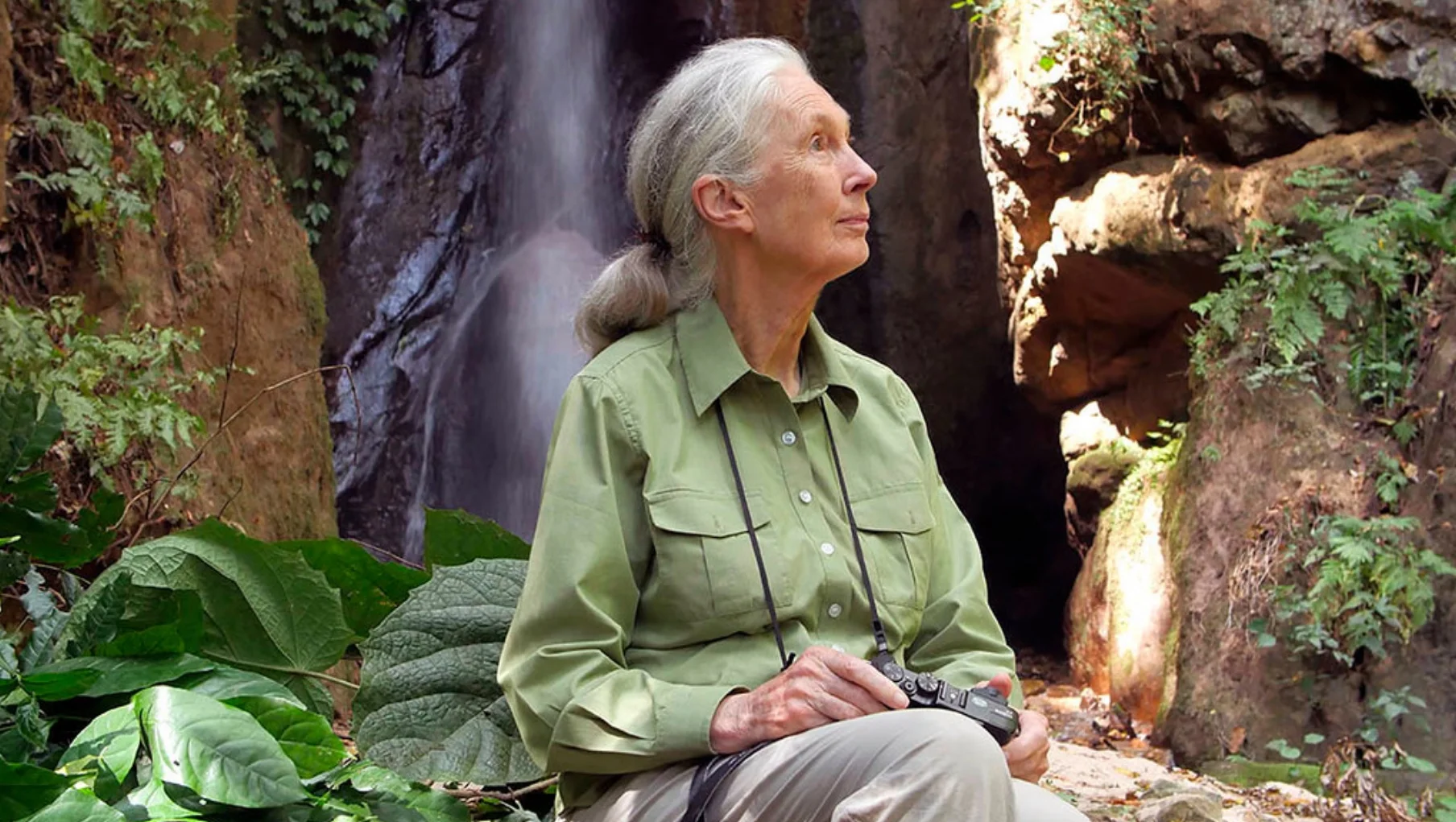 JGI_Fotos_JaneGombe_Wasserfall.jpg