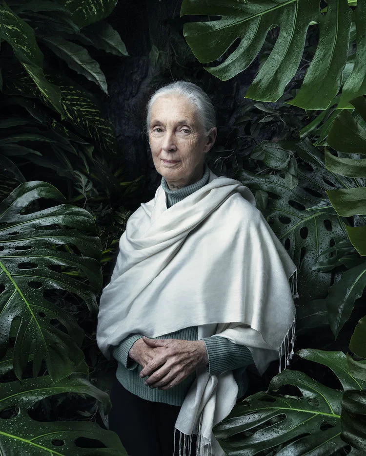 JANE_GOODALL_marcoGrob.jpg