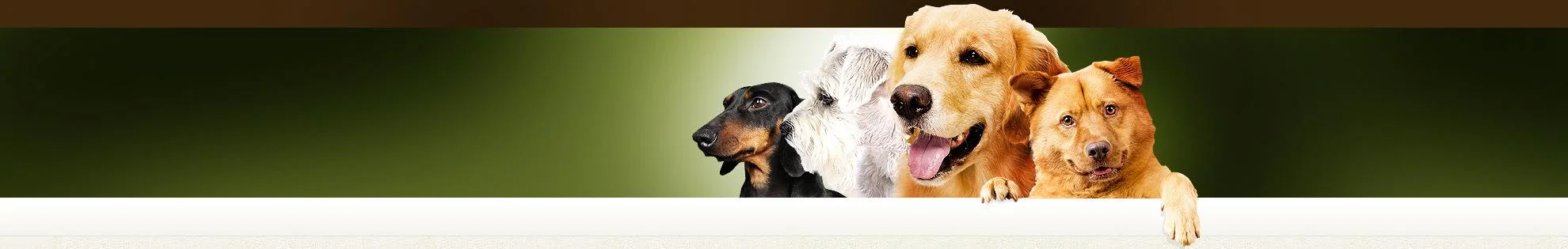 Banner.jpg