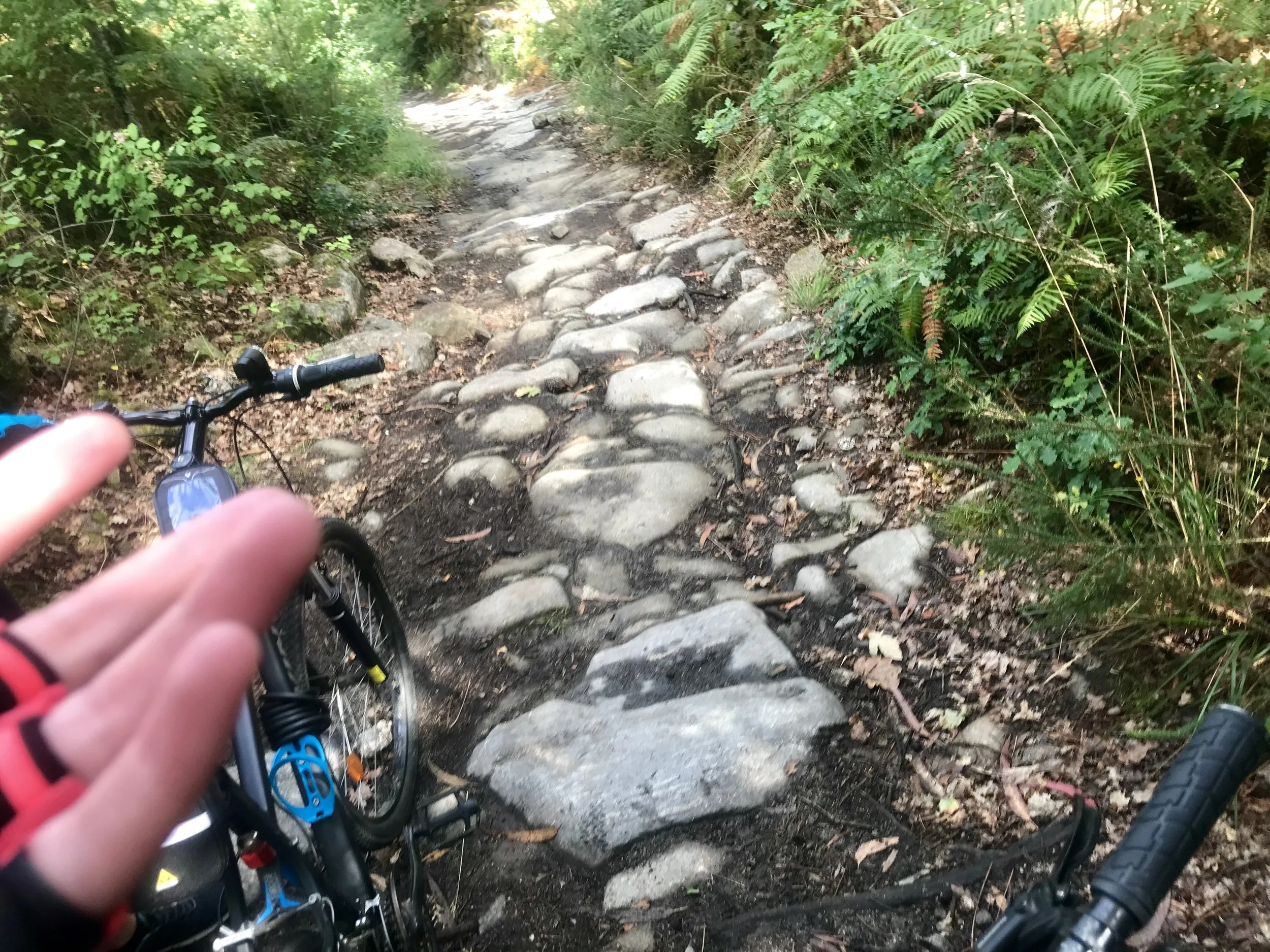 Path where you need to hike your bike