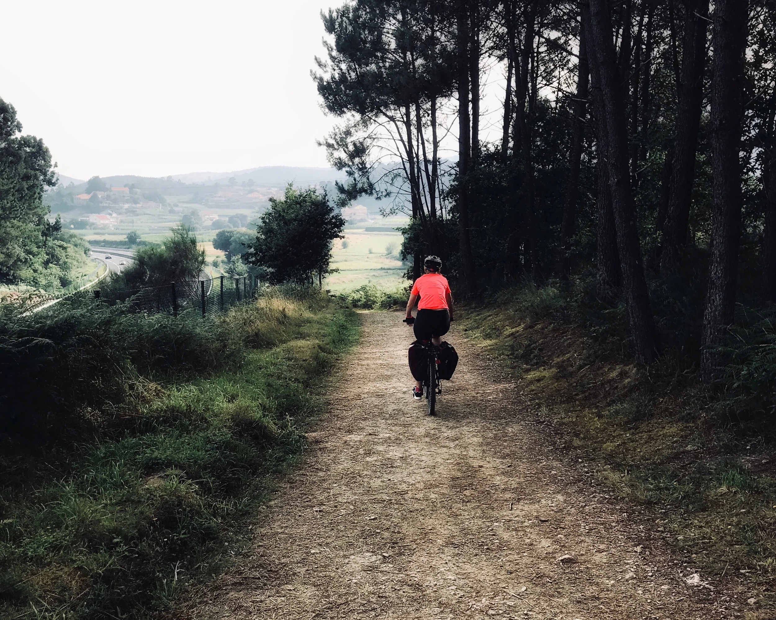 Camino de Santiago: Portugues Guide
