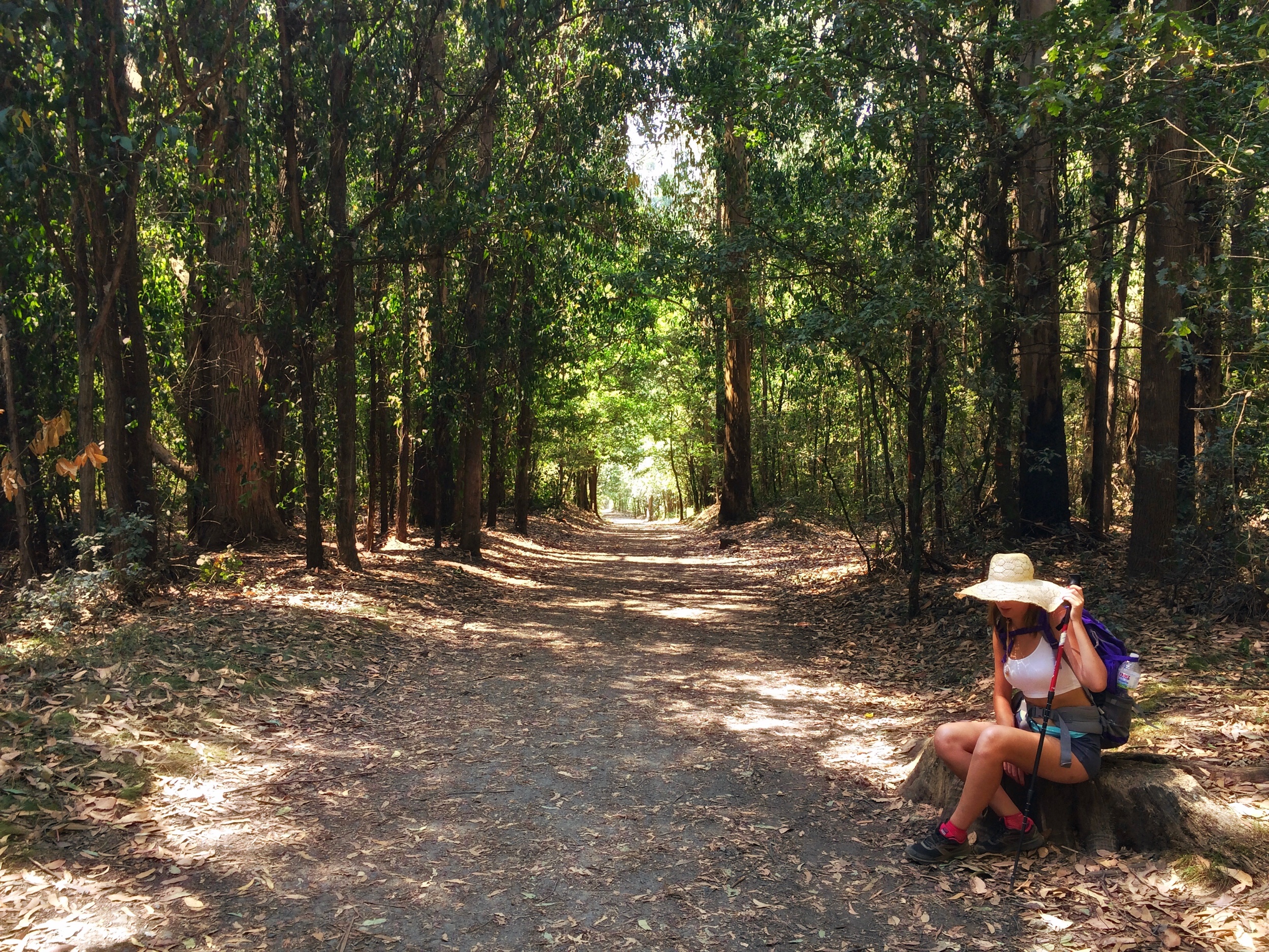 The Camino is a deodorant type of thru-hike