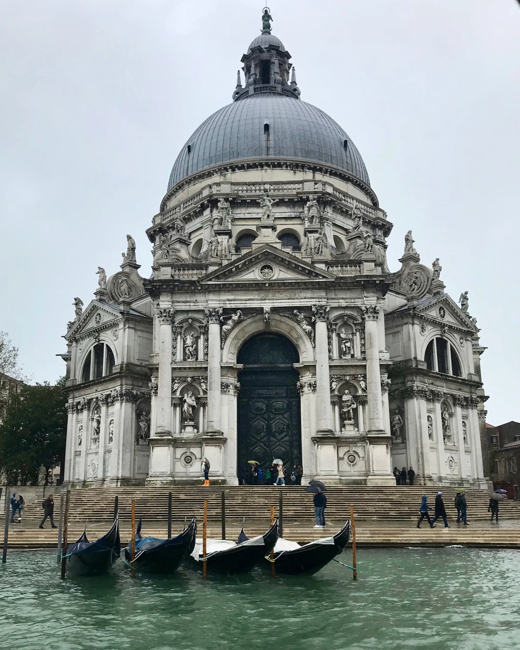 IMG_9803.jpeg
