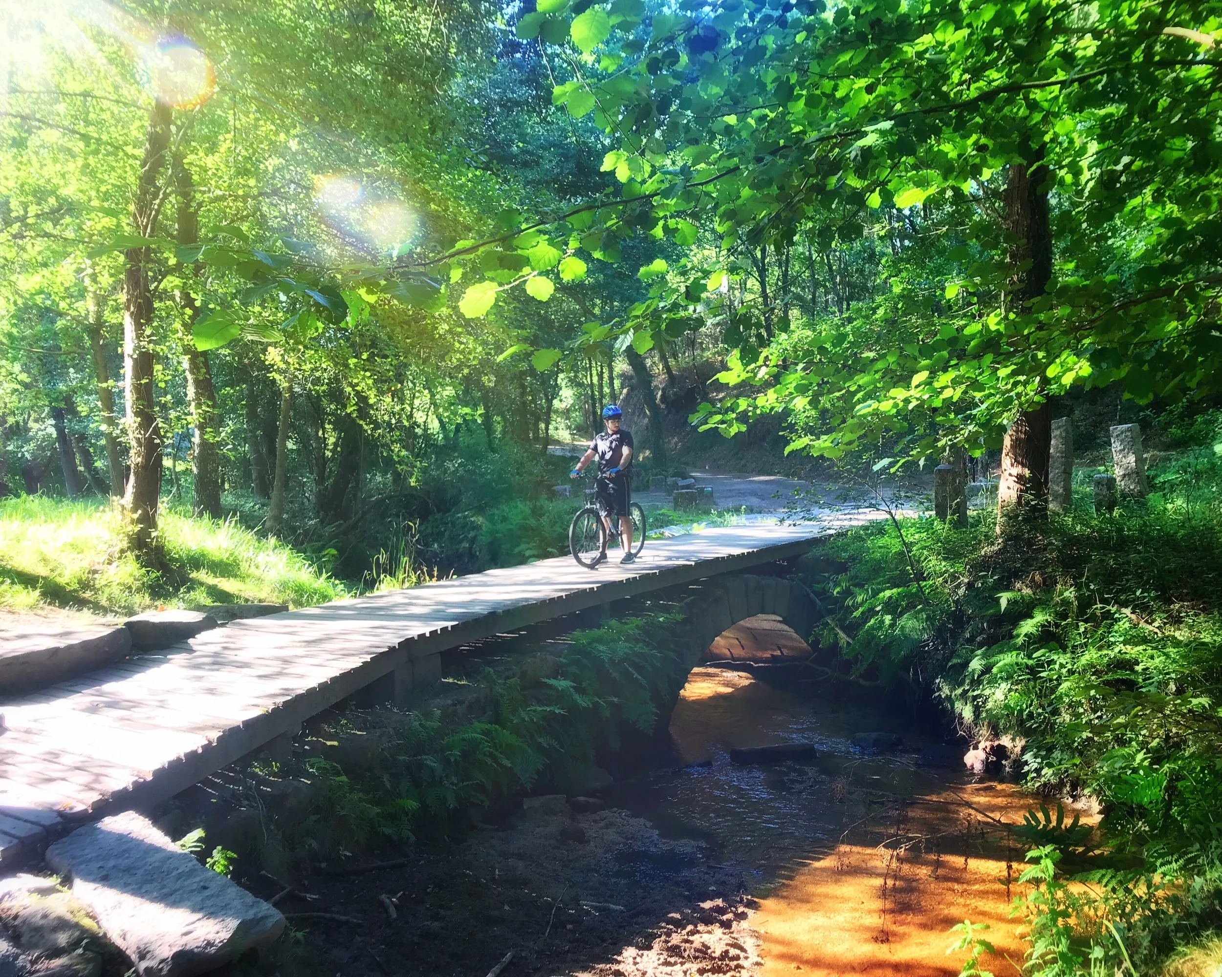 Do I need to know english for the Camino