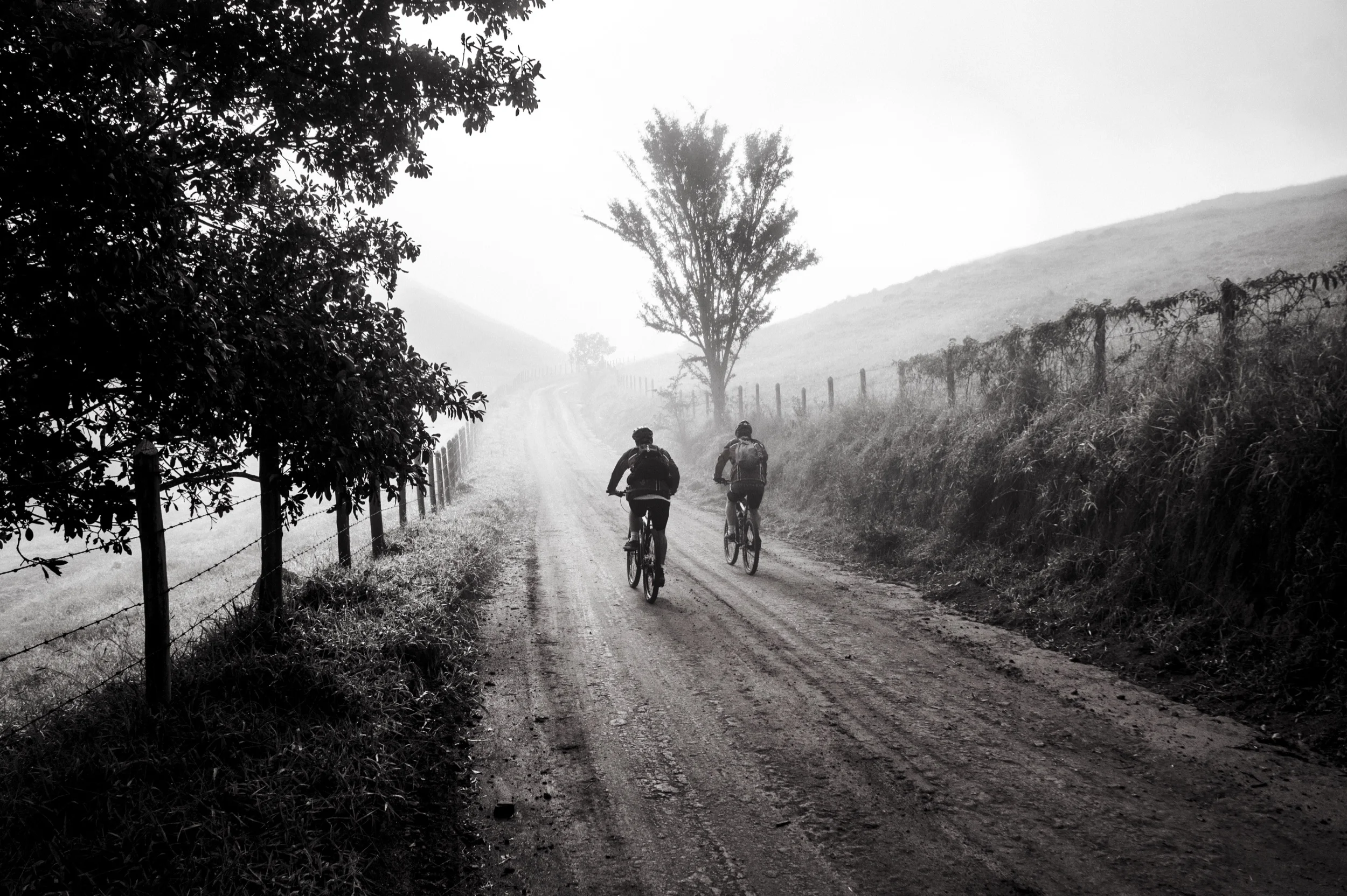 Primer on Cycling the Camino