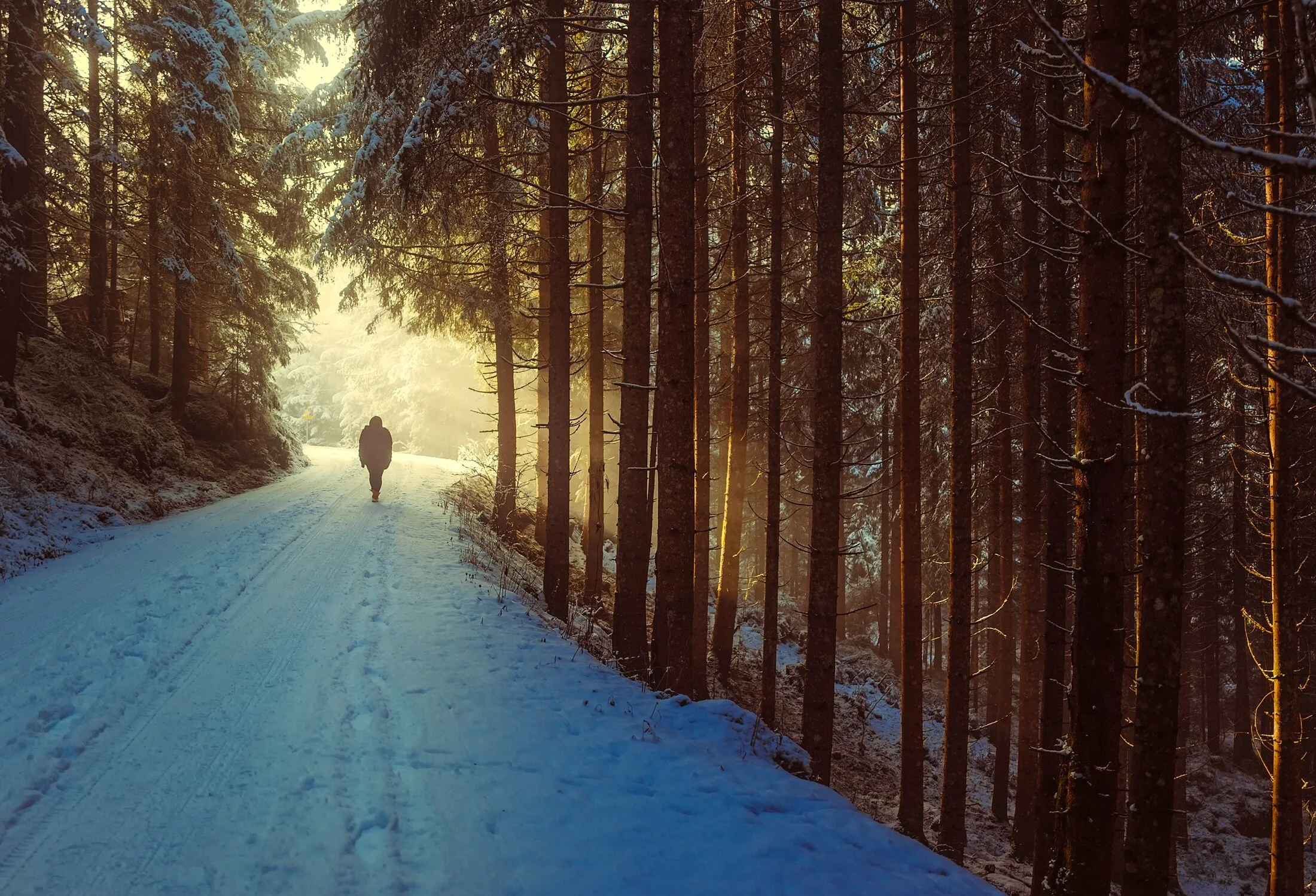 How to maximize your endurance on a through hike: pace control and rest frequency