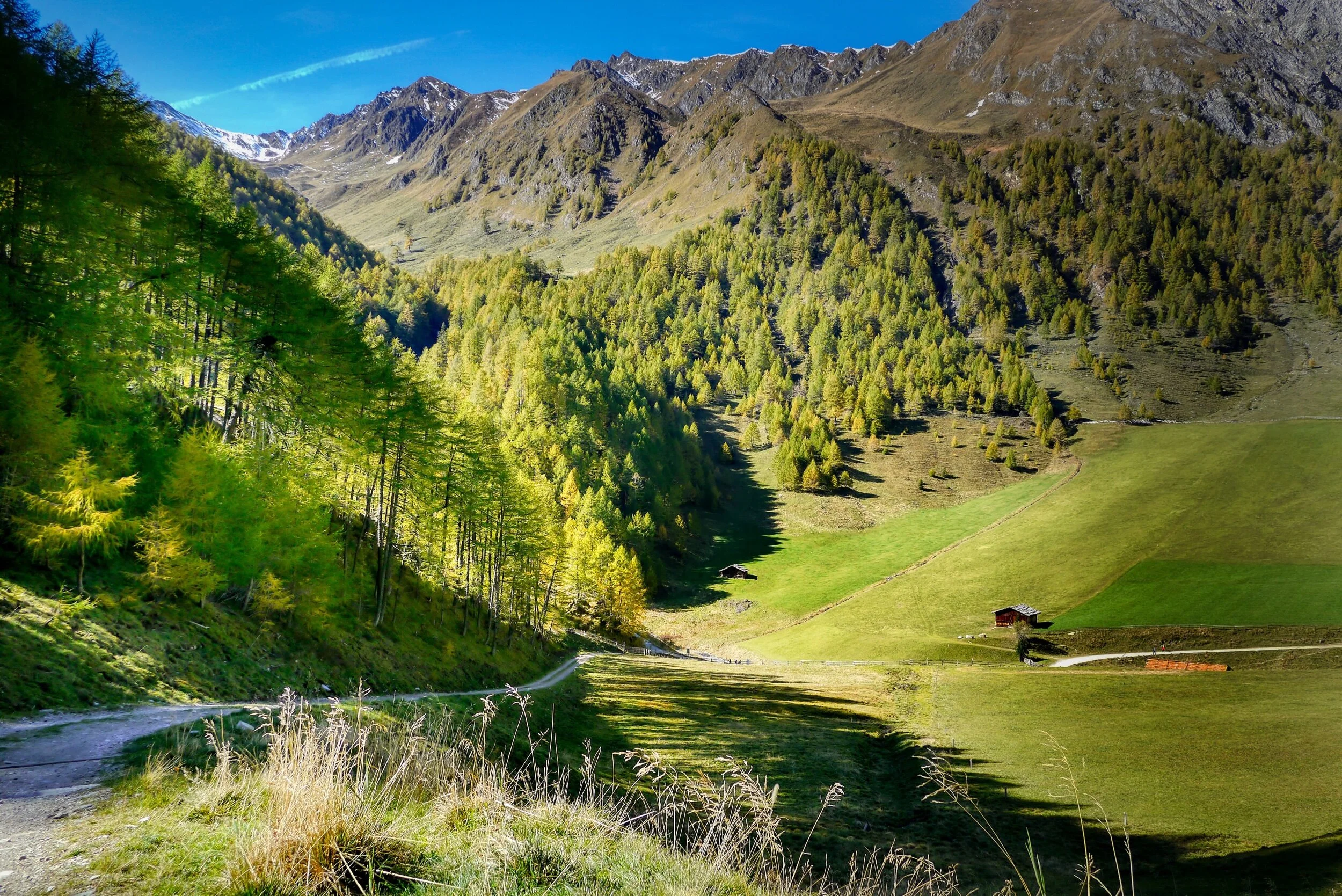 How to be more green on the trail: tips for hiking in an environmentally friendly way