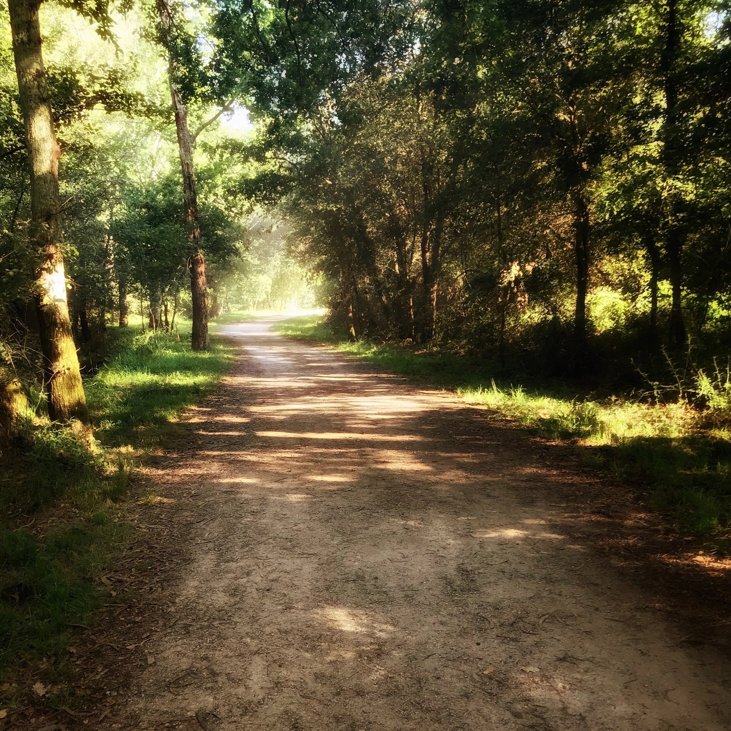 How To Be More Green On The Trail