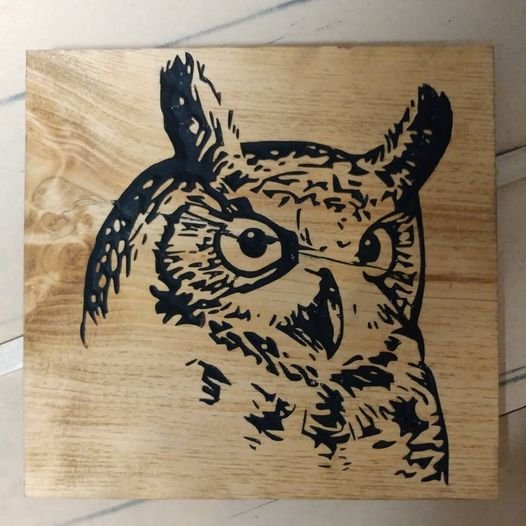 Owl Head