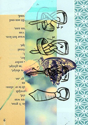 06.jpg