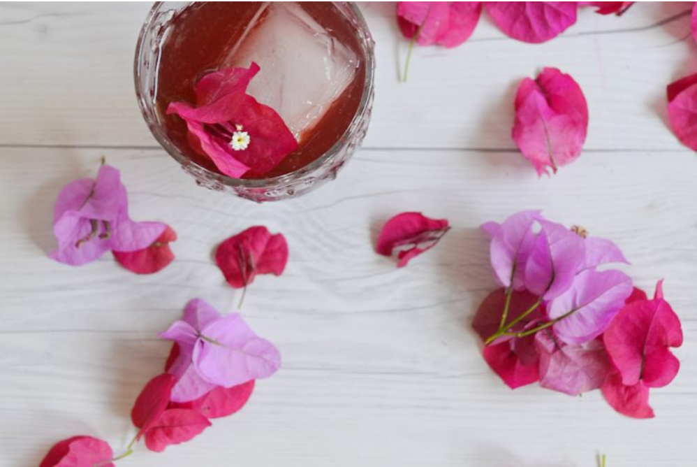 the bougainvillea cocktail drinking with chickens the bougainvillea cocktail drinking