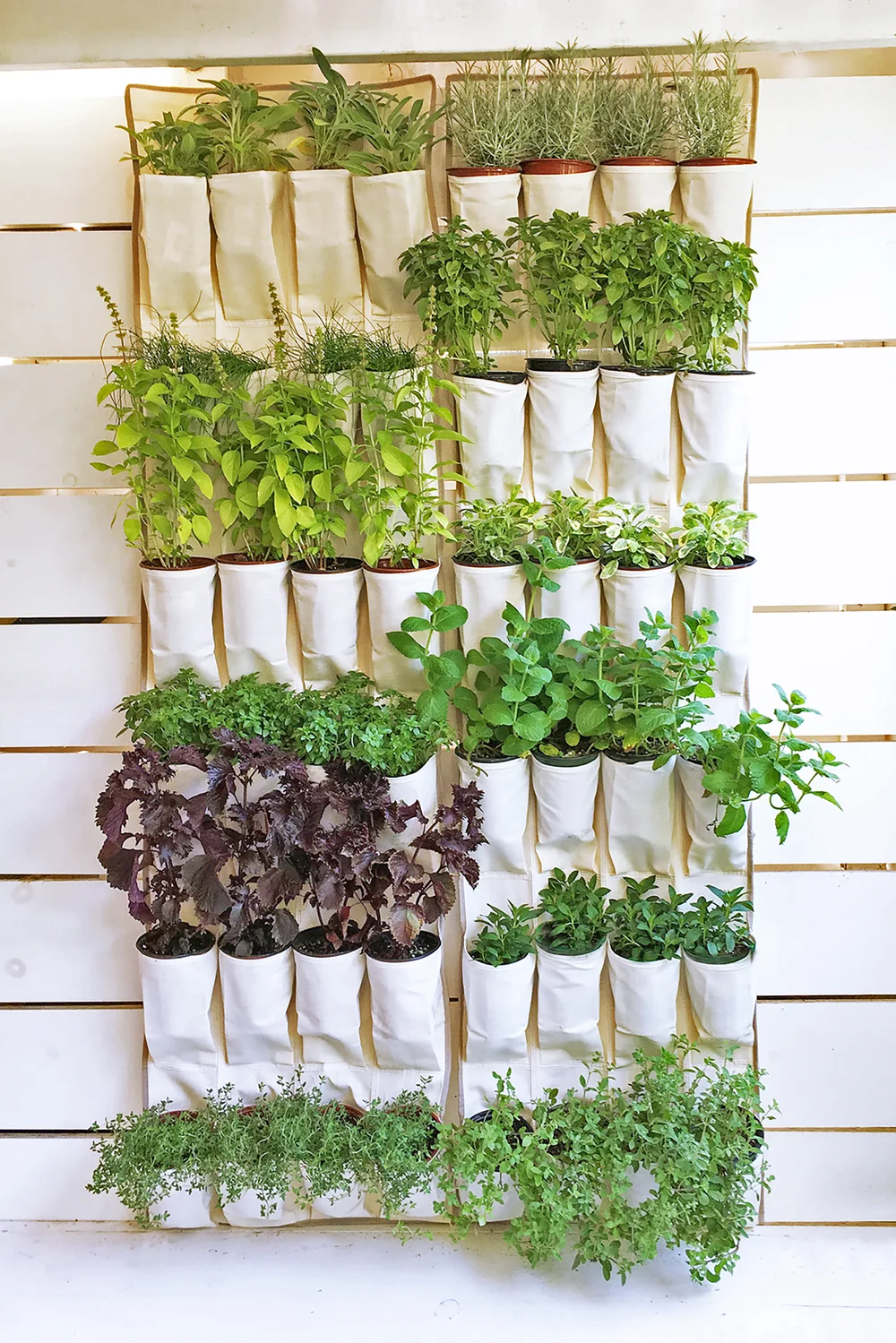 Vertical Cocktail Herbs Drinking With Chickens