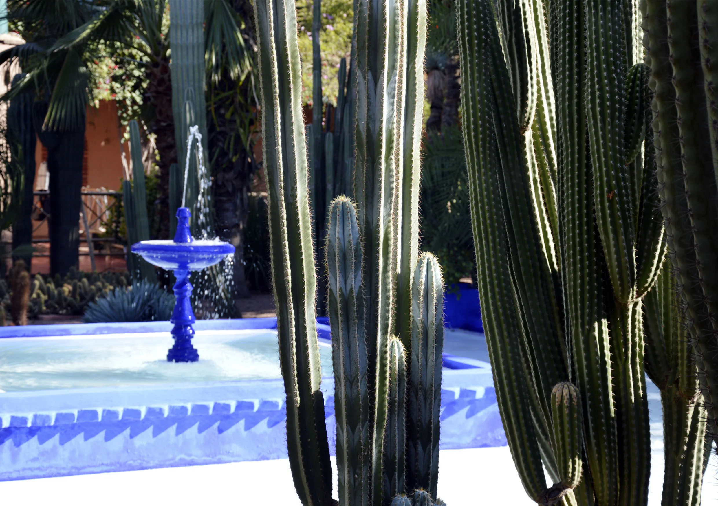Marrakech-citymladyp-05.jpg