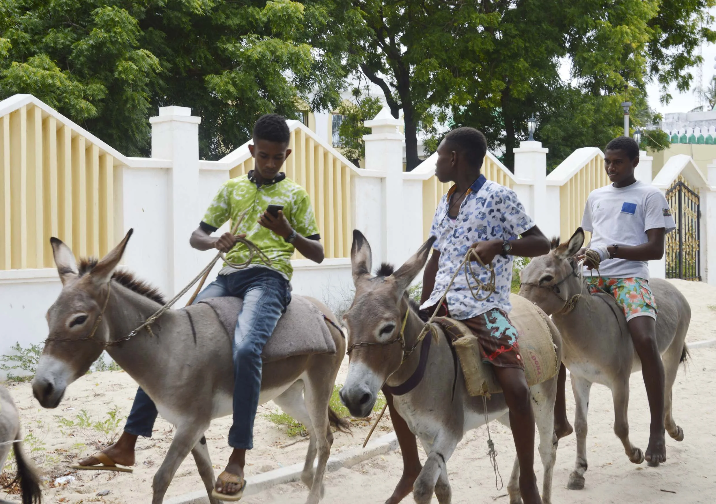 Lamu-Kenya-02-citymladyp.jpg