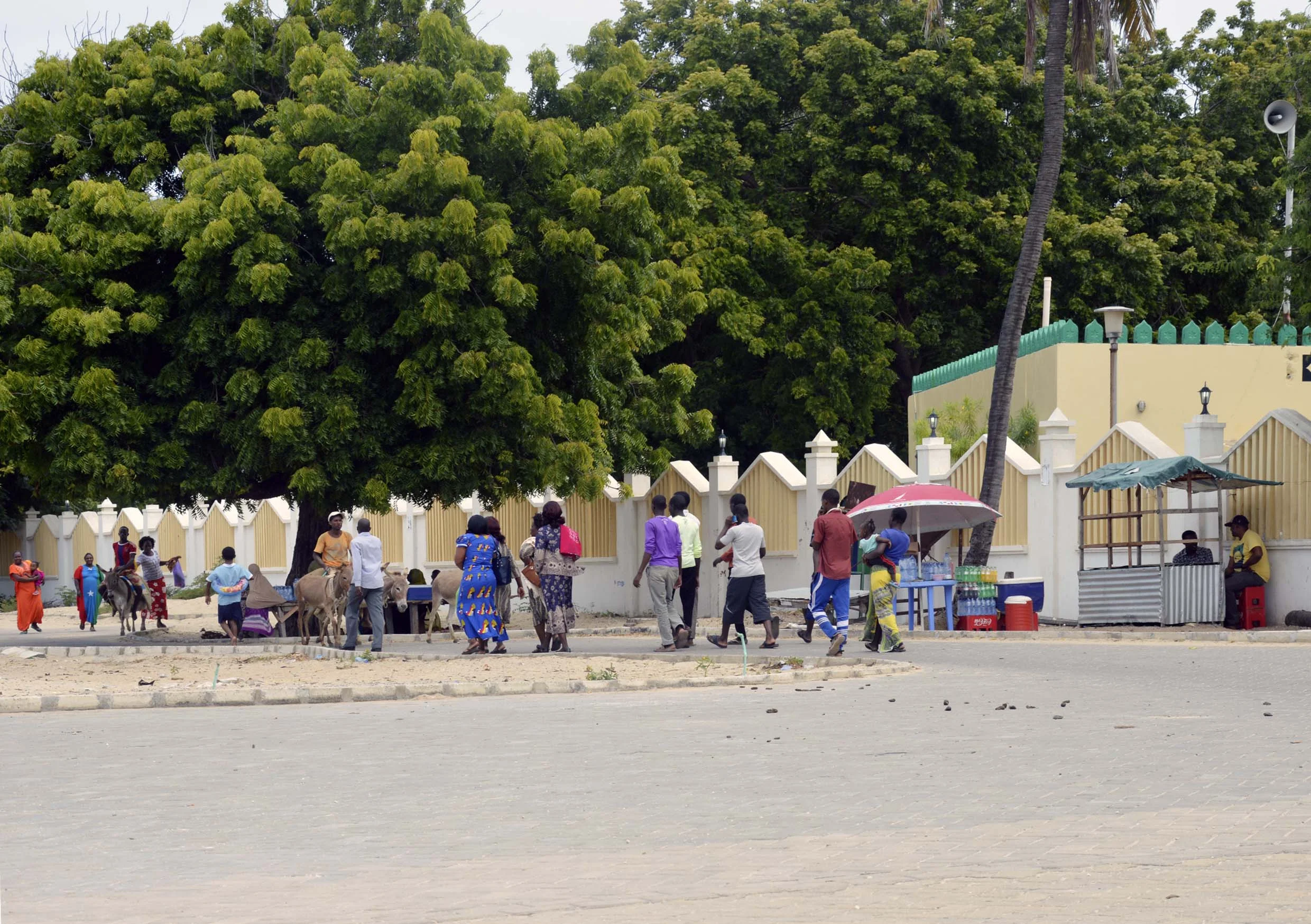 Lamu-Kenya-12-citymladyp.jpg