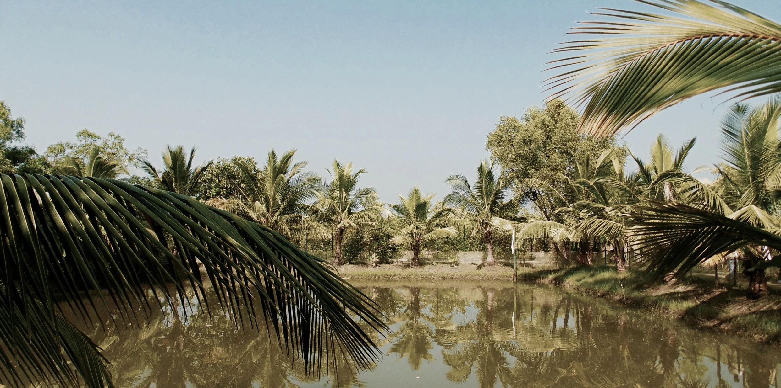 Trains, Traffic and Tigers: Traveling in West Bengal