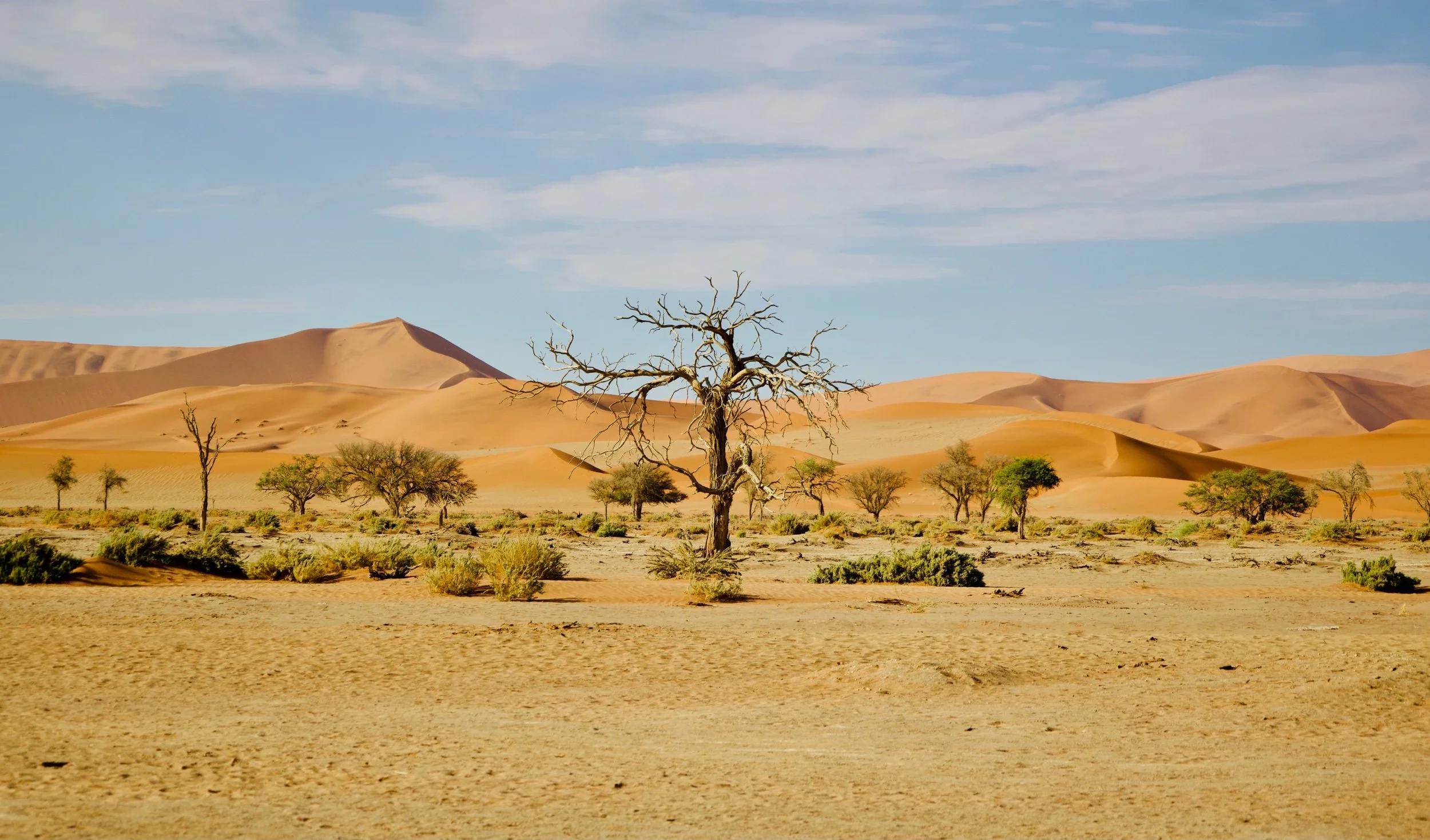 Off-the beaten track in Namibia
