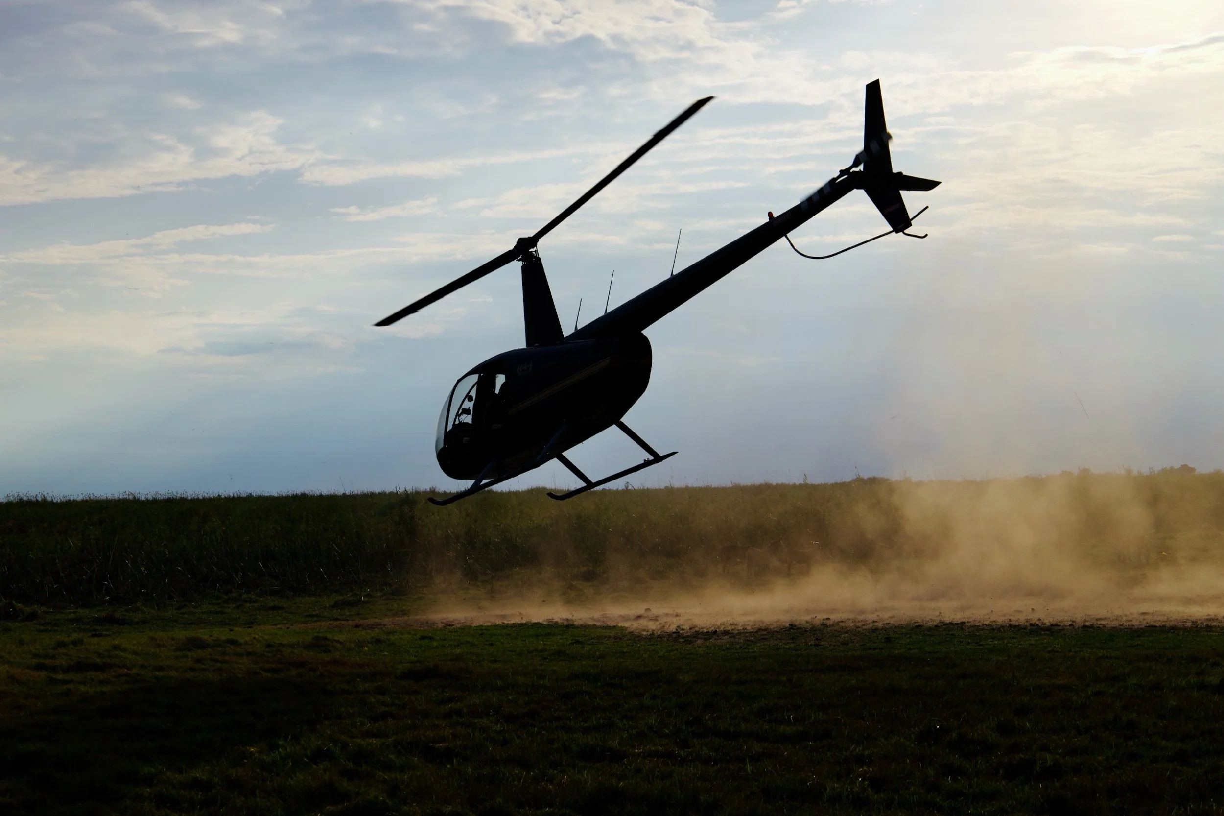 Safaris by Land, Boat, and Air: Northern Namibia &amp; Botswana