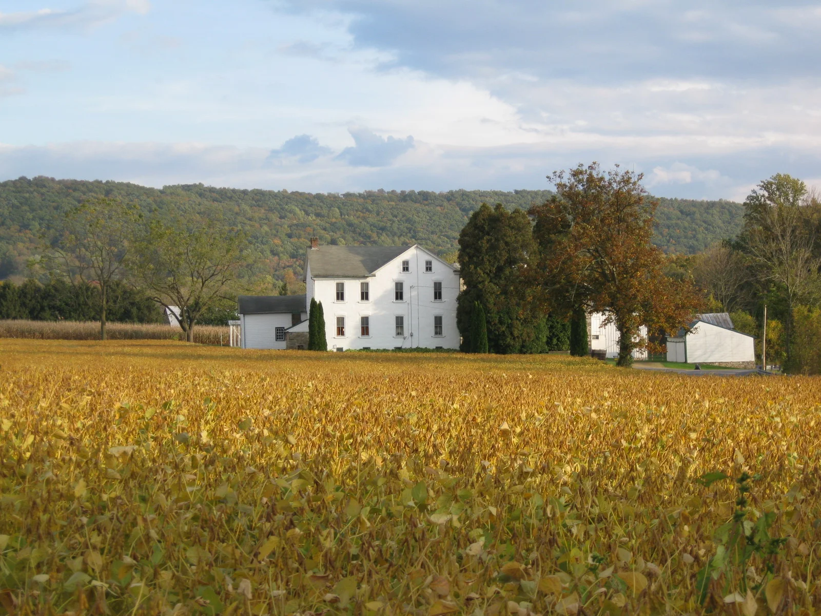 Oley, Pennsylvania.jpg