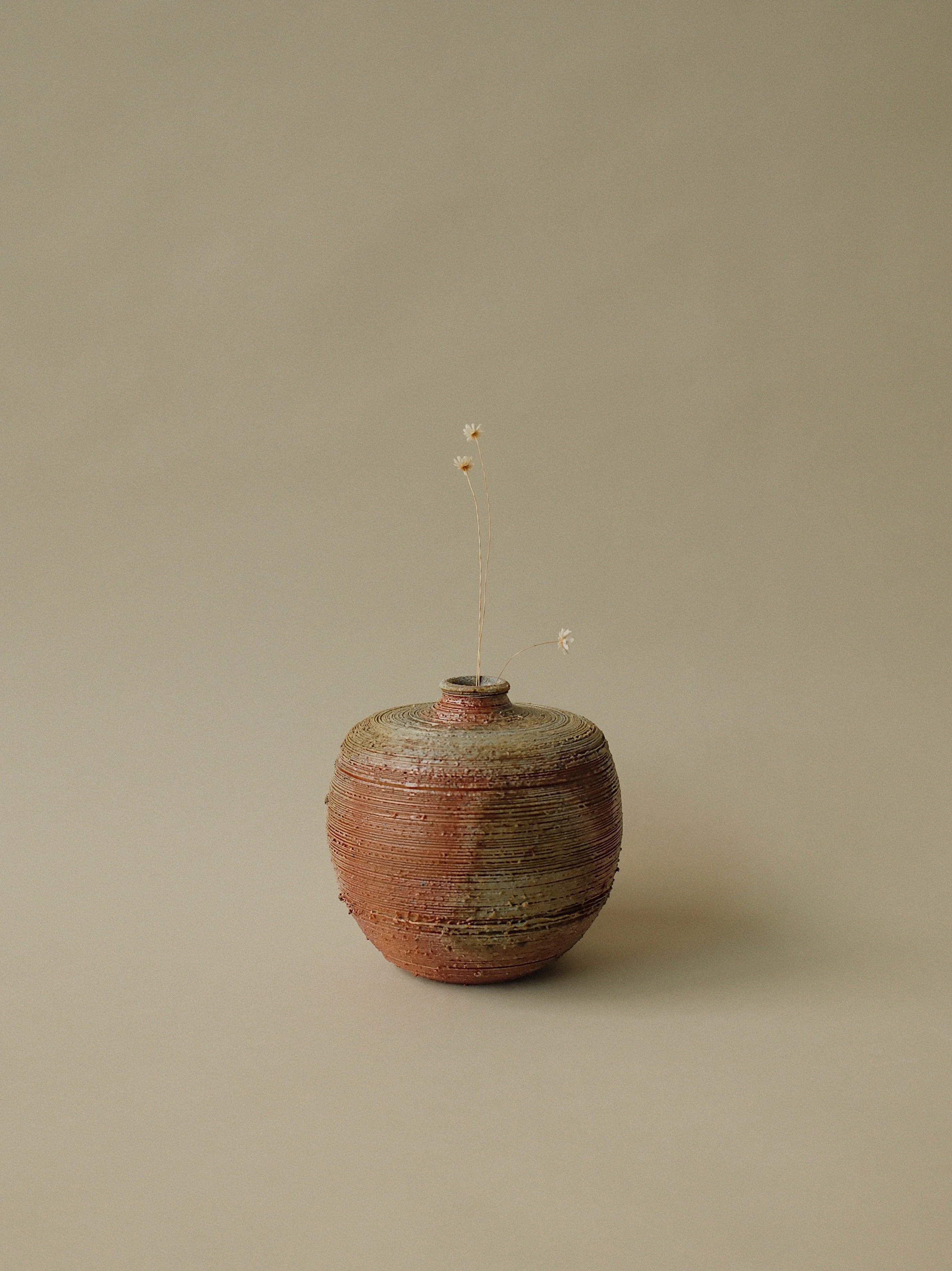 _DSF4607_VSCO.JPG