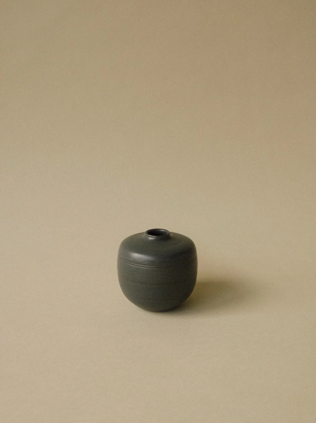 Mini Bud Vase — Lined Black