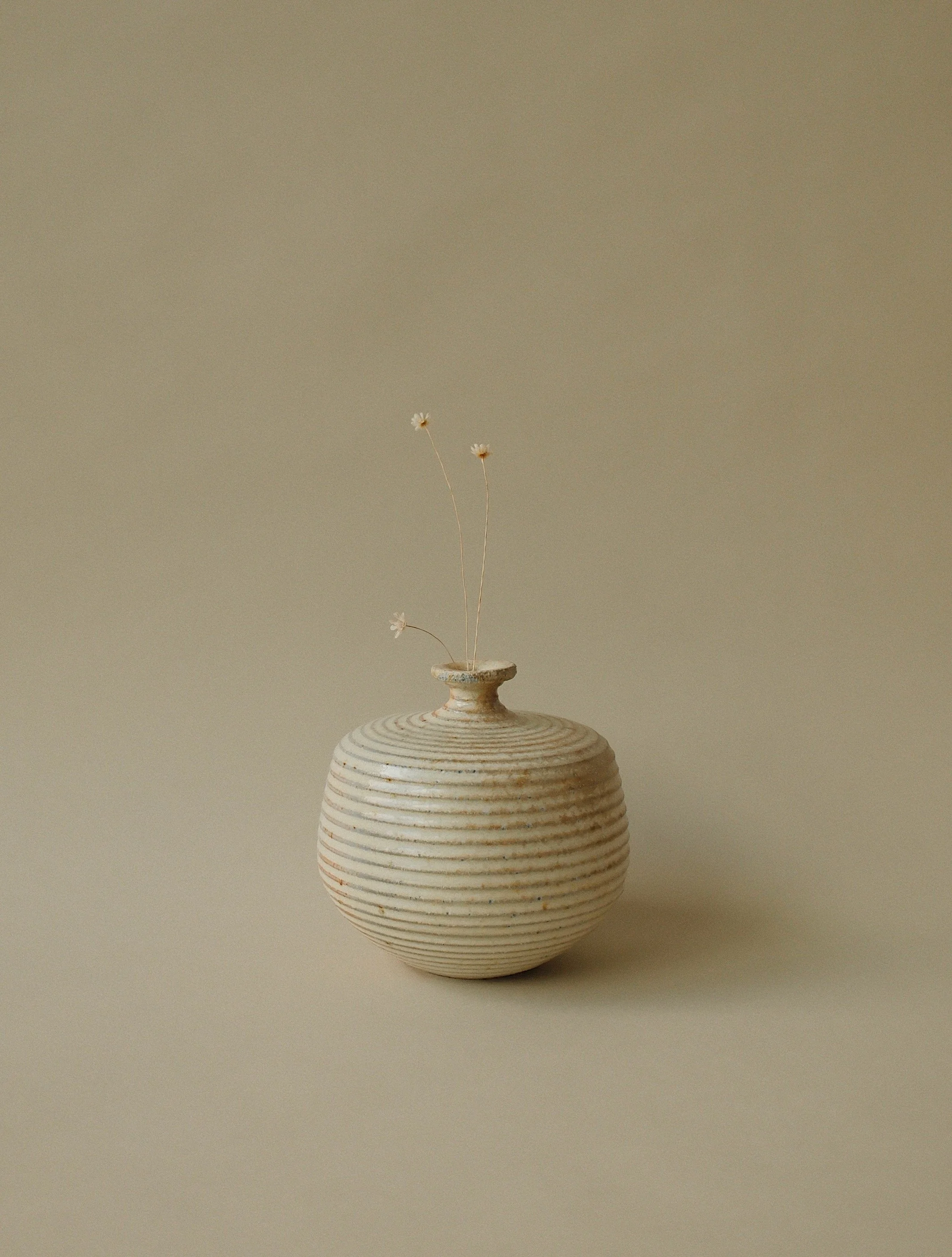 _DSF4594_VSCO 2.JPG