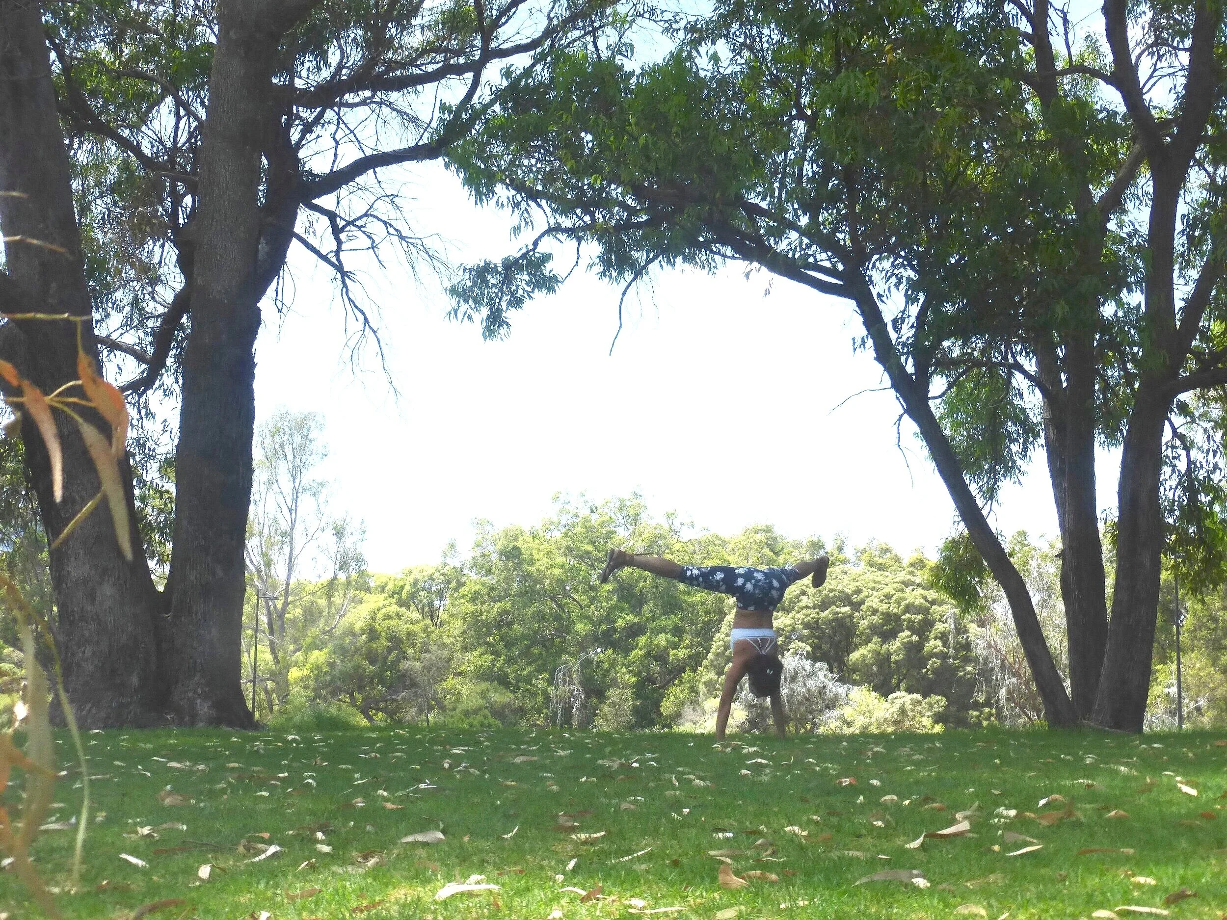handstand wide oz.jpg