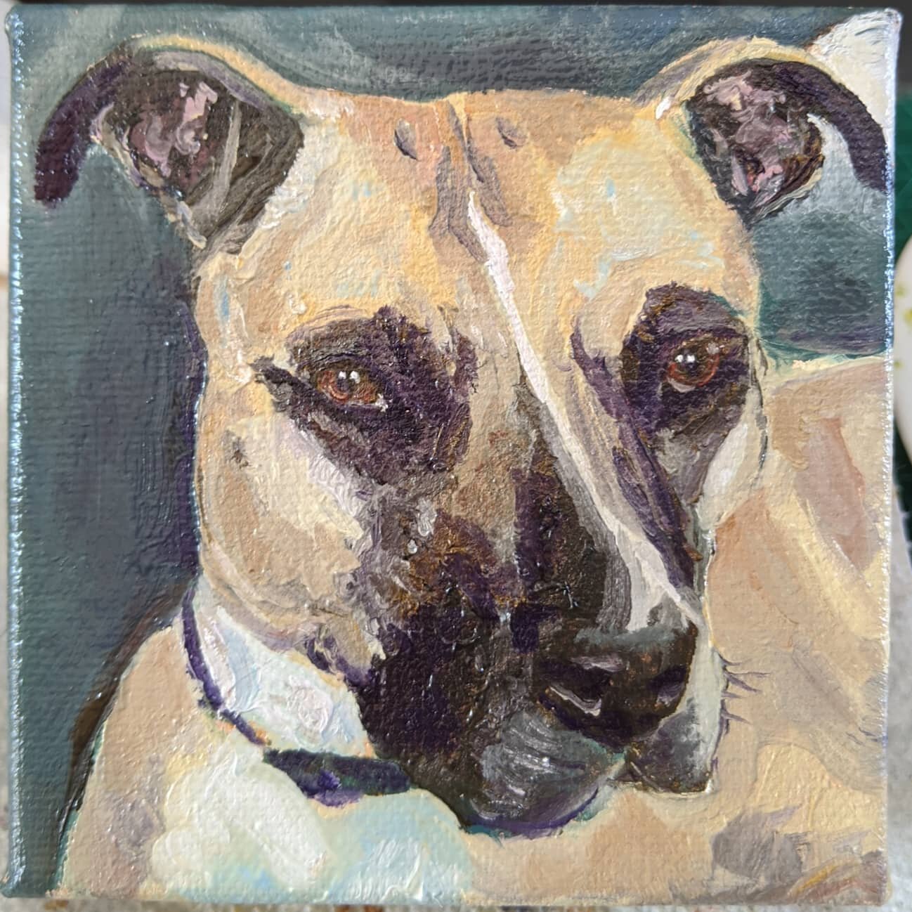 Process pictures time! Here's Lilah, a doggo commission from 2020. 4&quot;x4&quot; oils. First up is the completed portrait, then a few pictures showing how I laid out the composition and began filling her in. The second to last slide shows when I ha