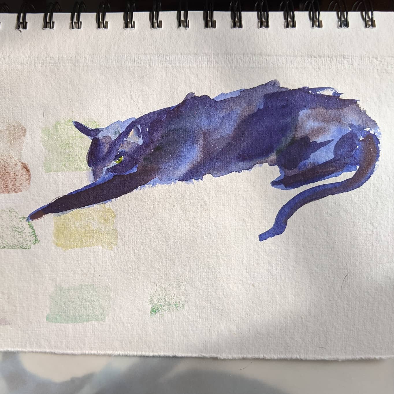 Watercolor cat studies
Beanie puddles
Trying to loosen up my brushwork and color
I think? It helps my oil painting work, too

#beampaints #beampaintstones #cat #blackcat #catpainting #painting #studies #watercolor #sketchbook