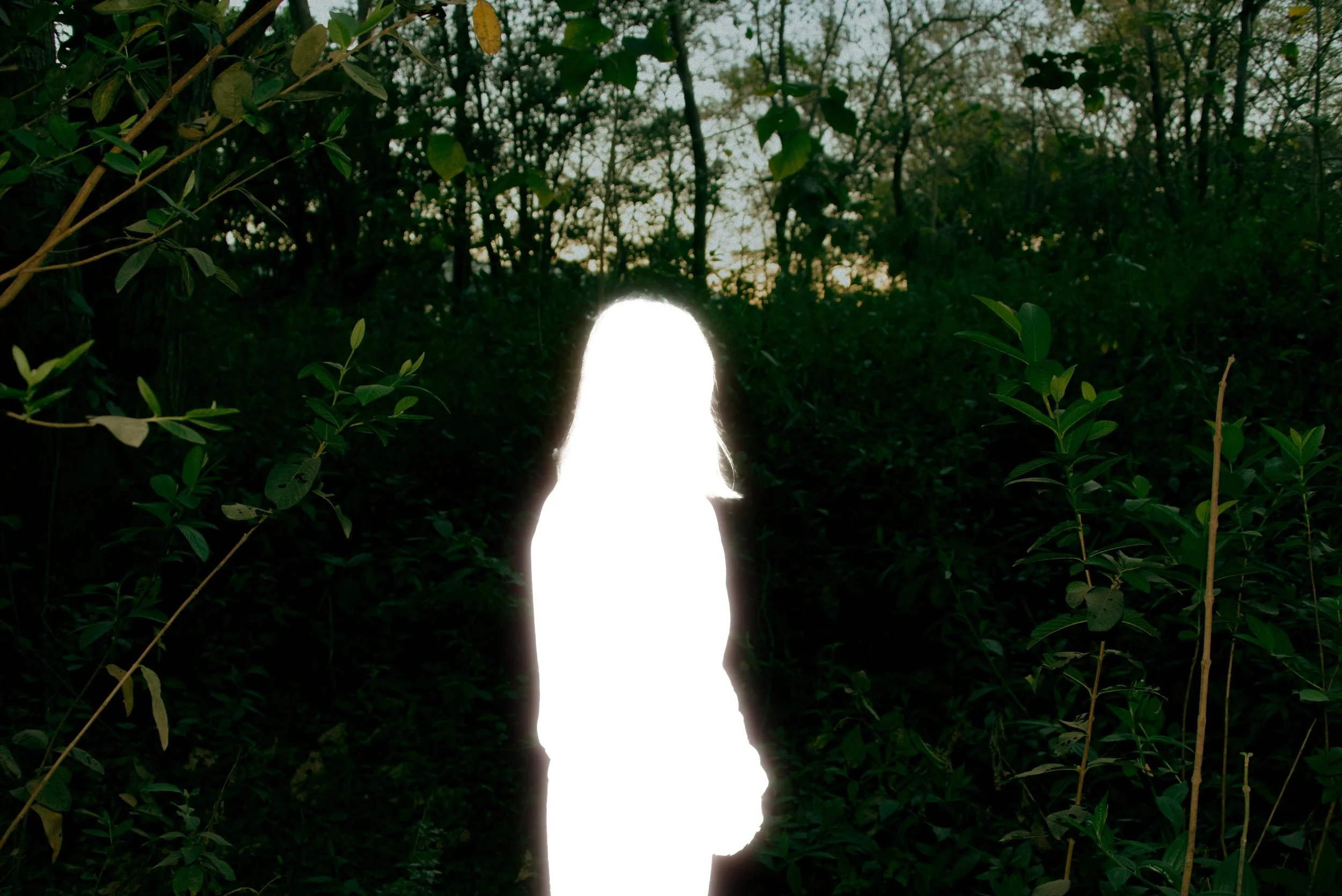 somatic-therapy-new-york