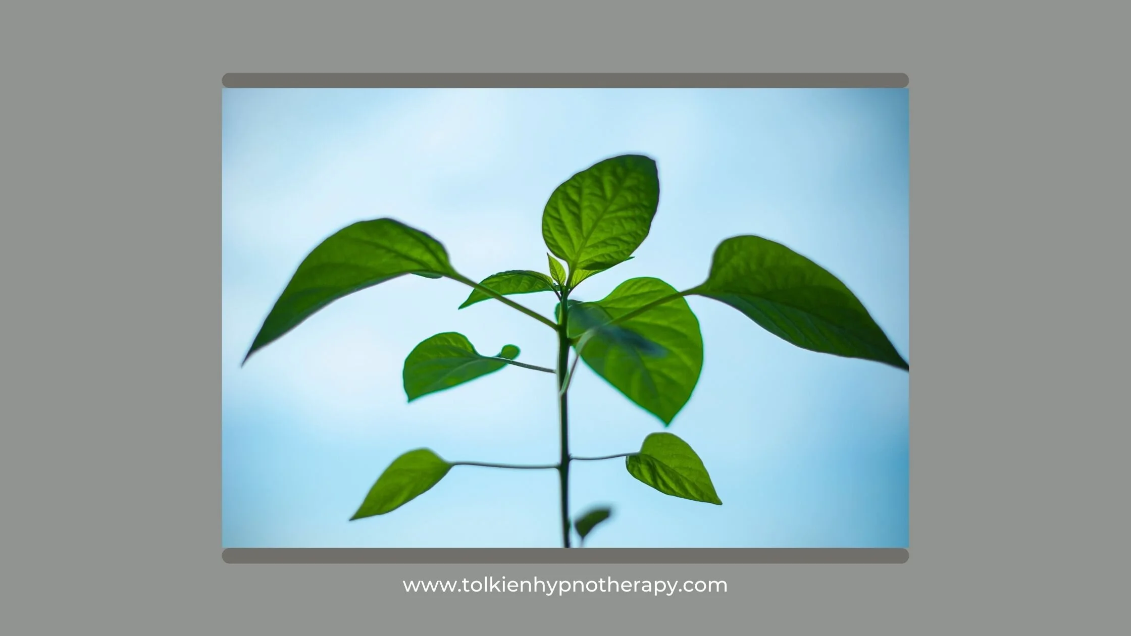 What is hypnotherapy? Become more resilient.