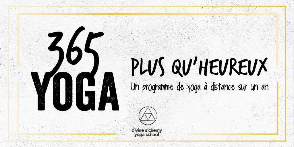 365_yoga_emailheaderv2.png