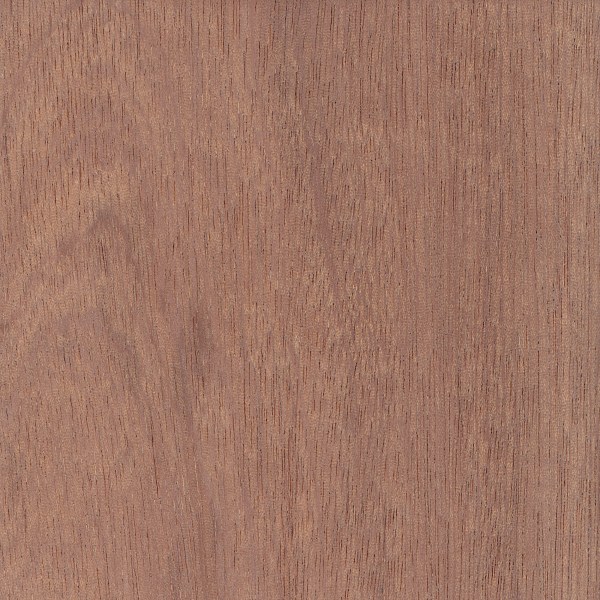 SAPELE