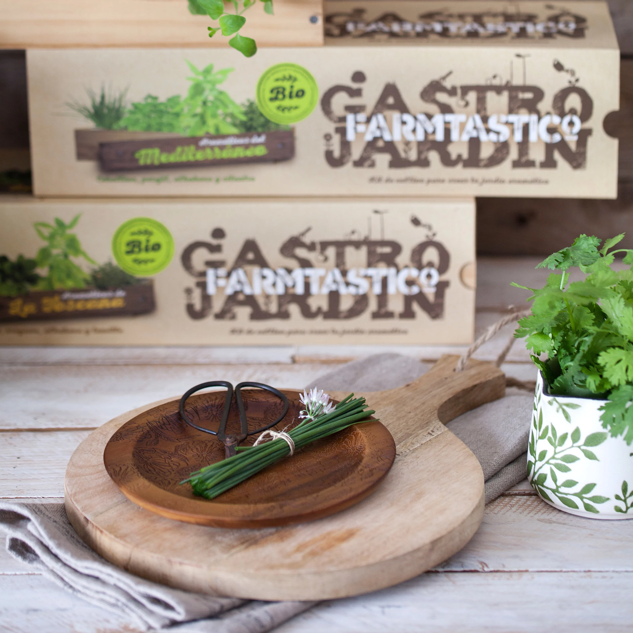 Aromaticas 2 cuadrada baja.jpg