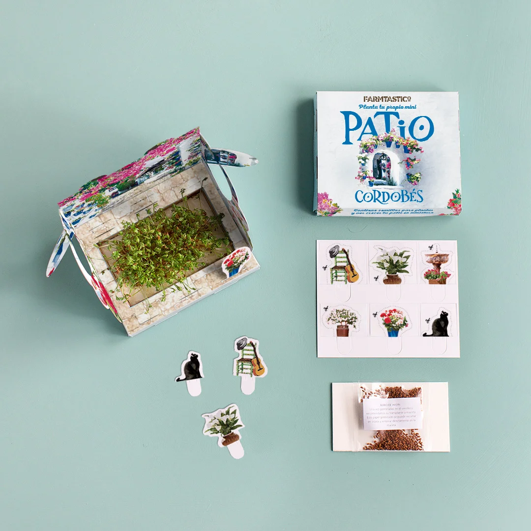 Patio Cordobes 01.jpg