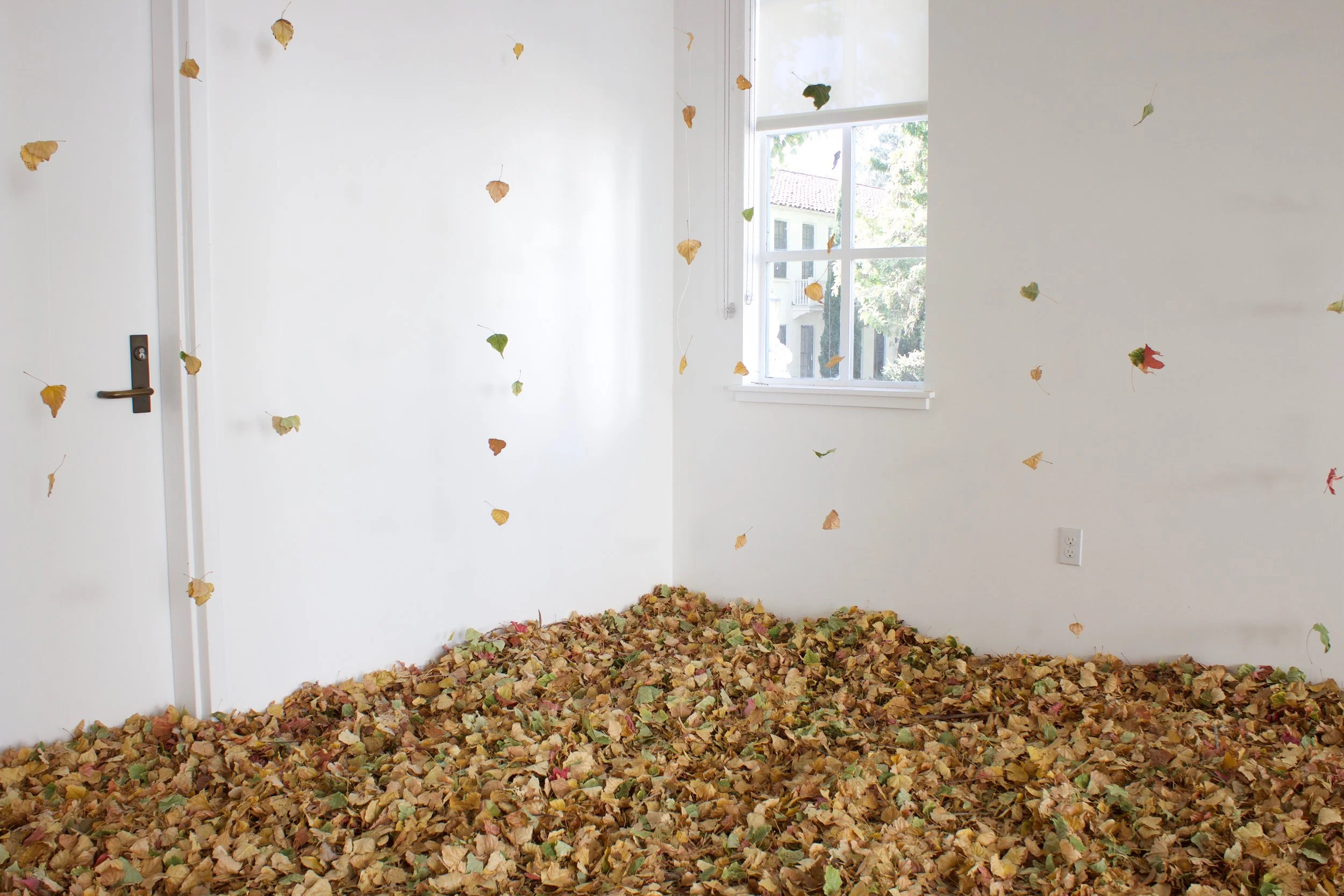 Phase of Existence- Installation documentation 6..jpg